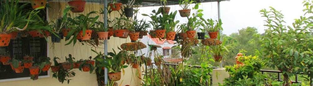 Leaf Homestay Hoi An Exteriör bild