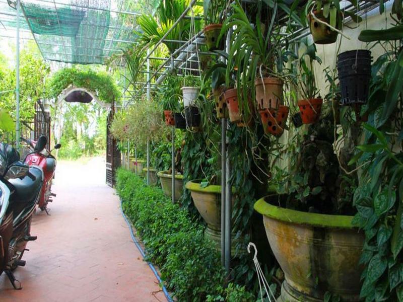 Leaf Homestay Hoi An Exteriör bild