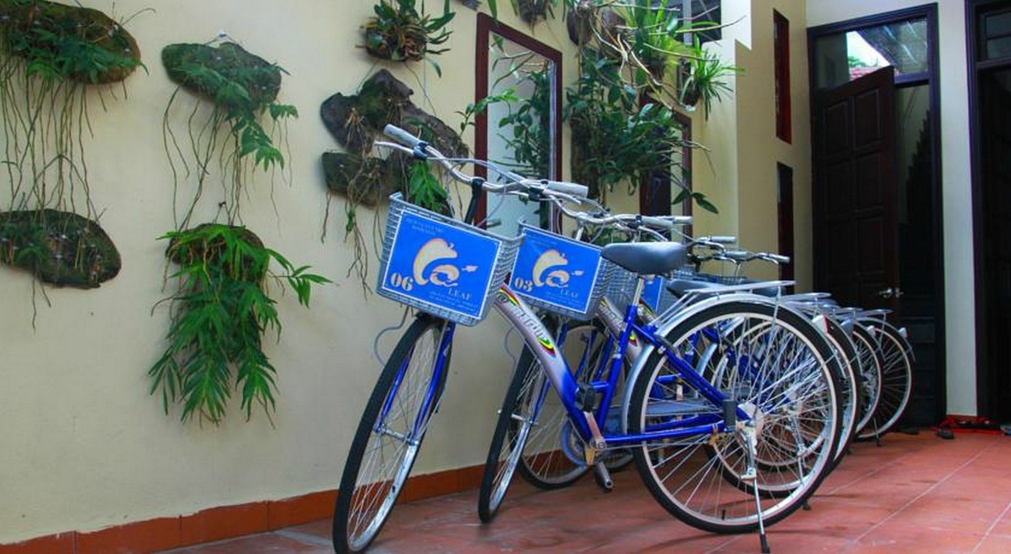 Leaf Homestay Hoi An Exteriör bild